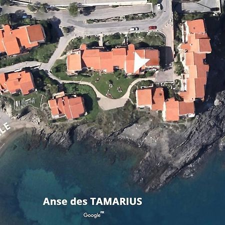 Collioure Appart En Bord De Mer Plage A 50M Clim Garage Location Du Samedi Au Samedi Экстерьер фото