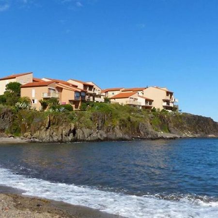 Collioure Appart En Bord De Mer Plage A 50M Clim Garage Location Du Samedi Au Samedi Экстерьер фото